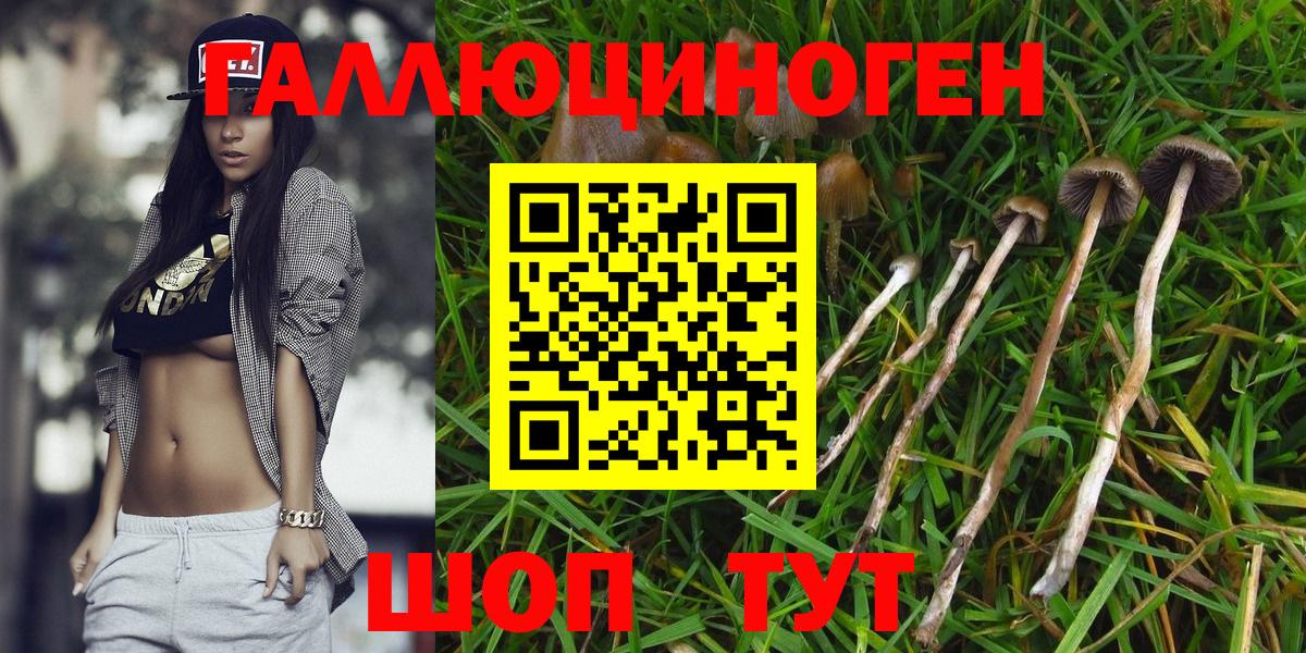 Галлюциногенные грибы GOLDEN TEACHER Александров